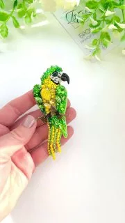 Броши: Попугай и Ара