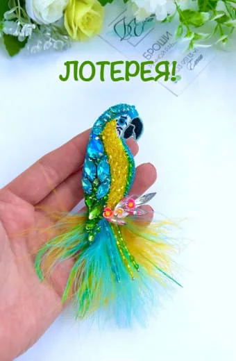 Розыгрыш брошей