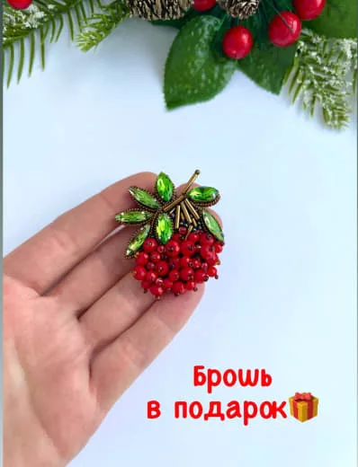 Розыгрыш брошей