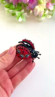 Броши: Божья коровка и Жук