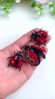 Броши: Божья коровка, Жук и Большая