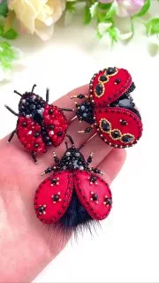 Броши: Божья коровка, Жук и Объемные броши