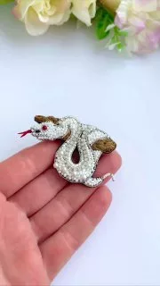 Броши: Змея и Символ 2025