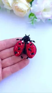 Броши: Божья коровка и Жук